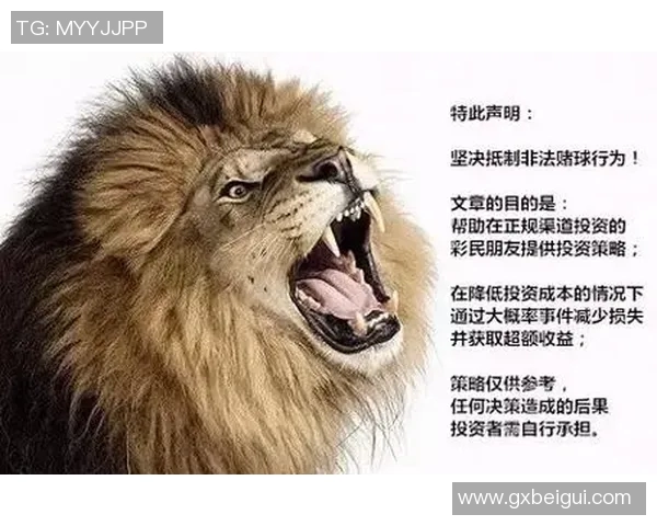 如何找到可靠的欧洲杯比赛分析和观看渠道推荐